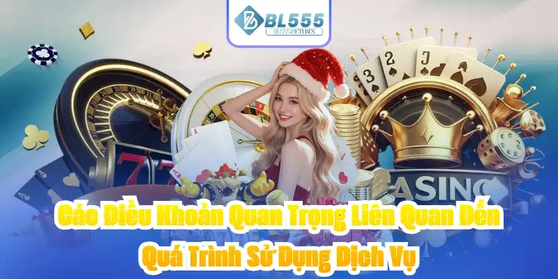 Các Điều Khoản Quan Trọng Liên Quan Đến Quá Trình Sử Dụng Dịch Vụ