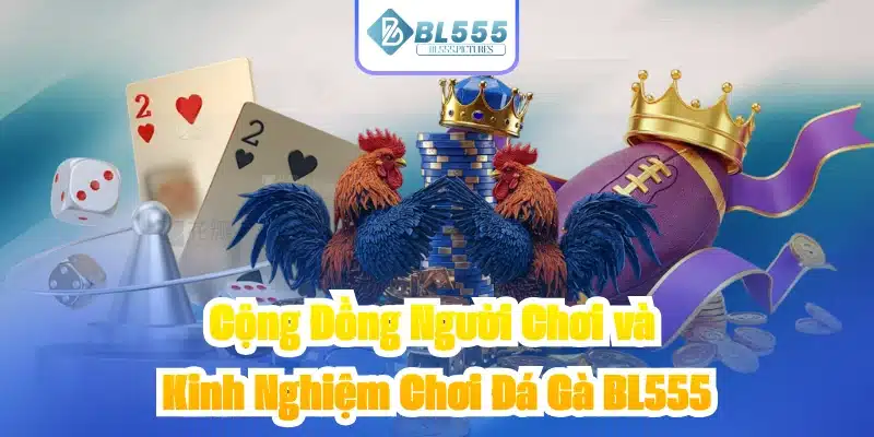 Cộng Đồng Người Chơi và Kinh Nghiệm Chơi Đá Gà BL555
