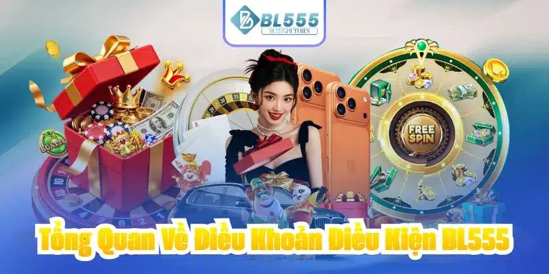 Tổng Quan Về Điều Khoản Điều Kiện BL555
